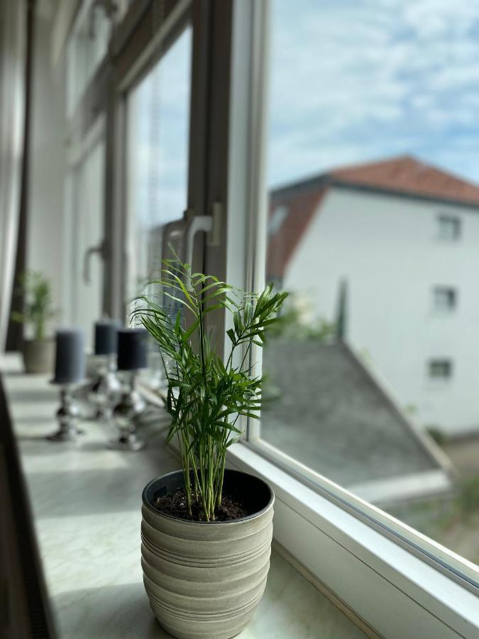 Sandduene Graal-Mueritz Zewnętrze zdjęcie